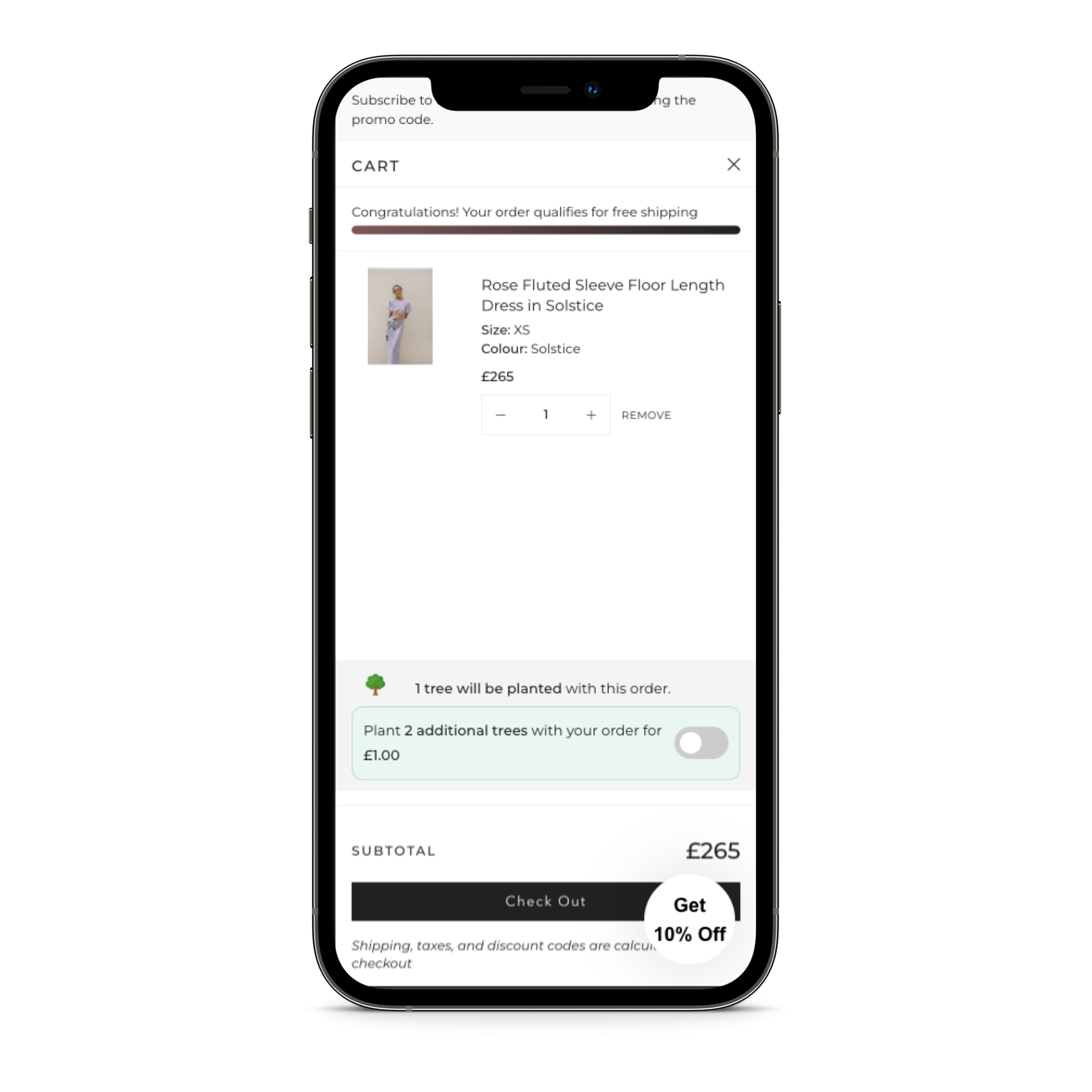 Shopify Store Design and Development 2