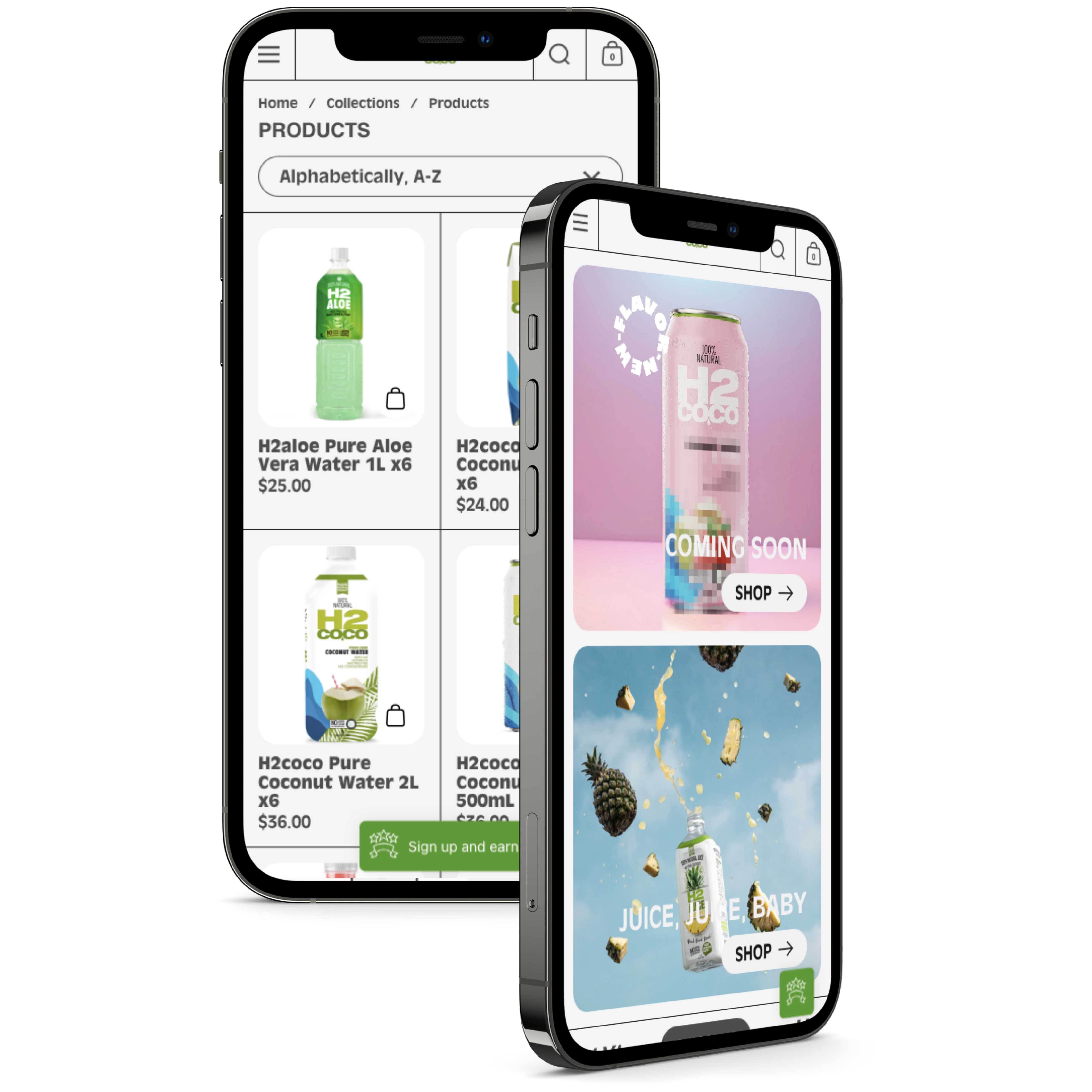 Shopify Store Design and Development 2