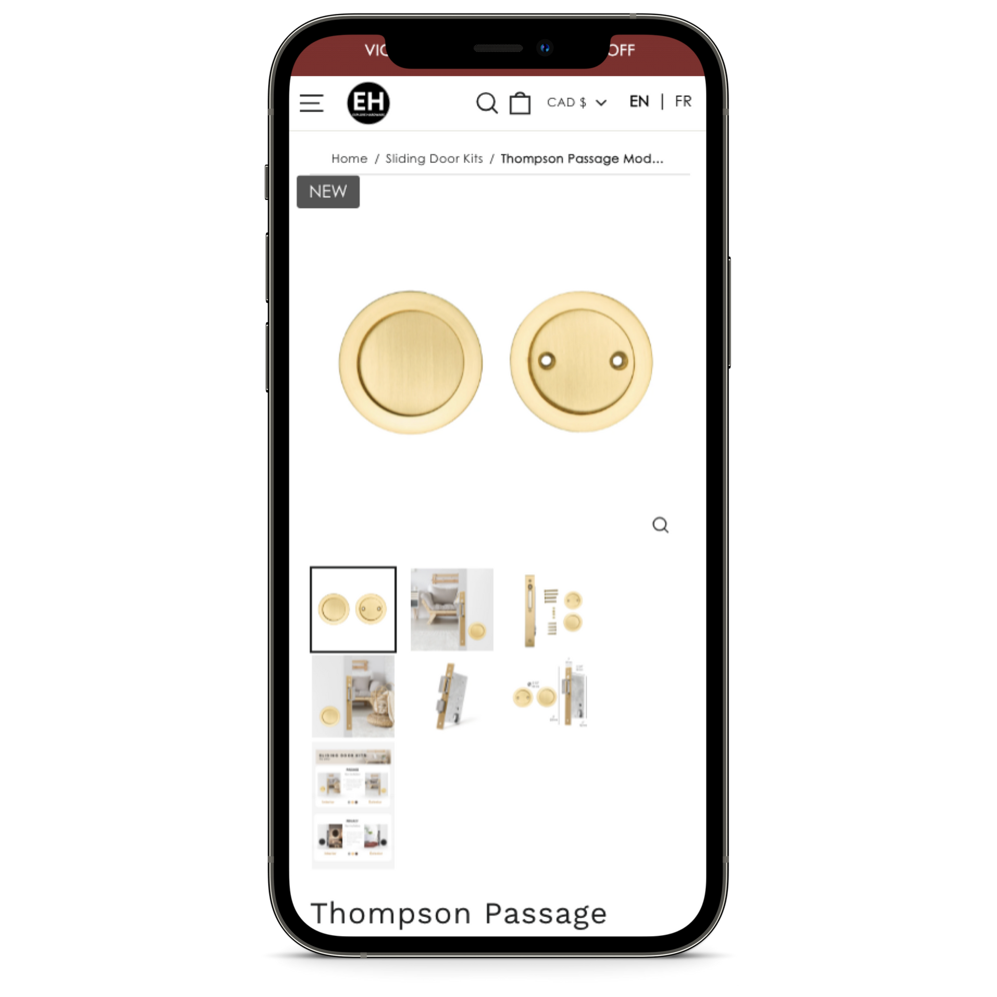 Shopify Store Design and Development
