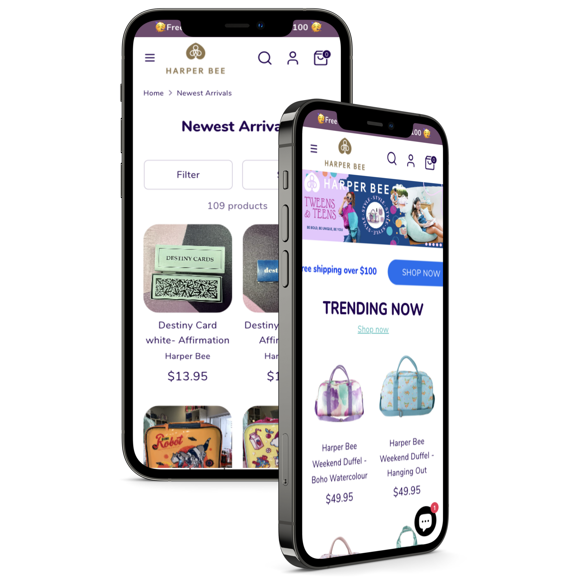 Shopify Store Design and Development