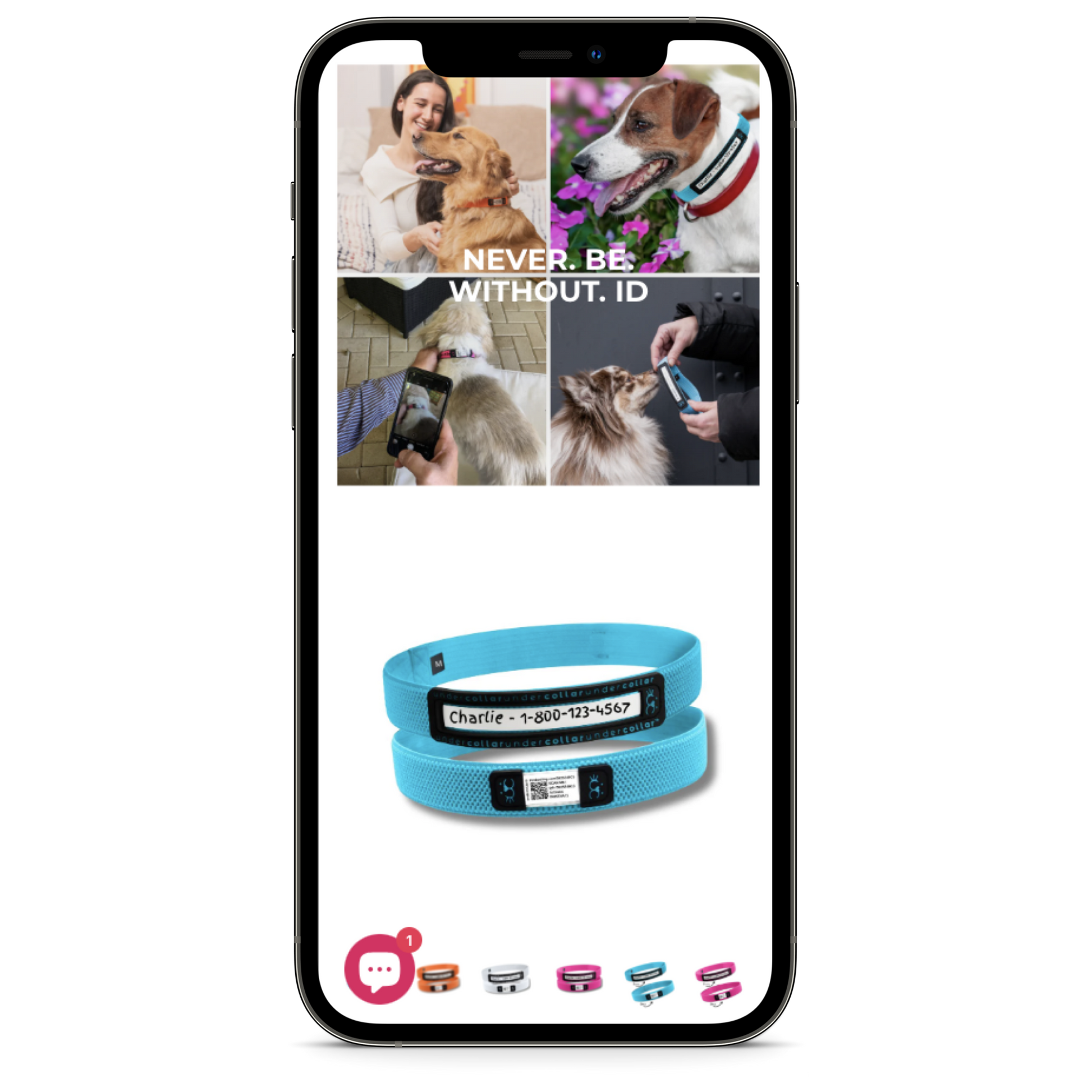 Shopify Store Design and Development 1