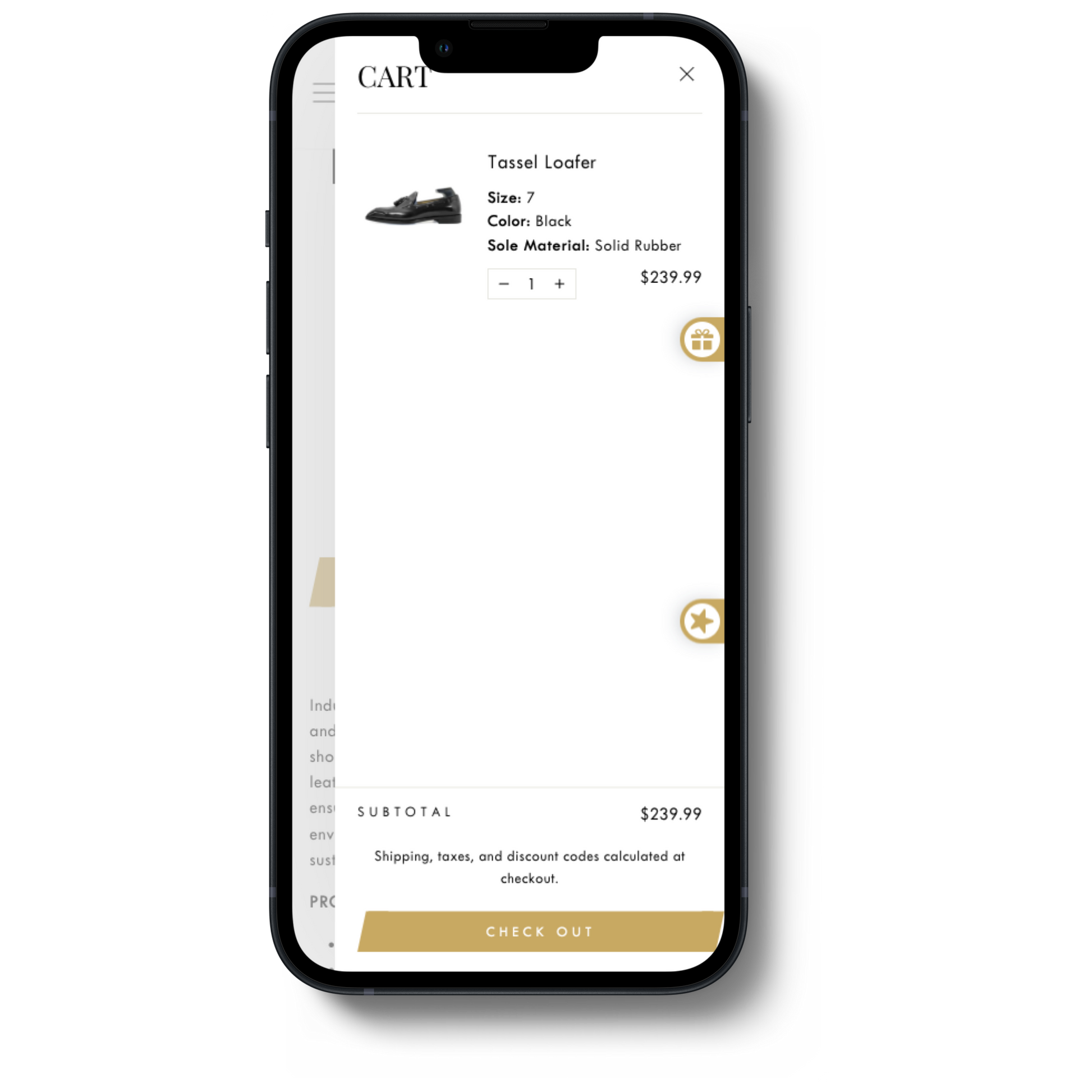 Shopify Store Design and Development 2