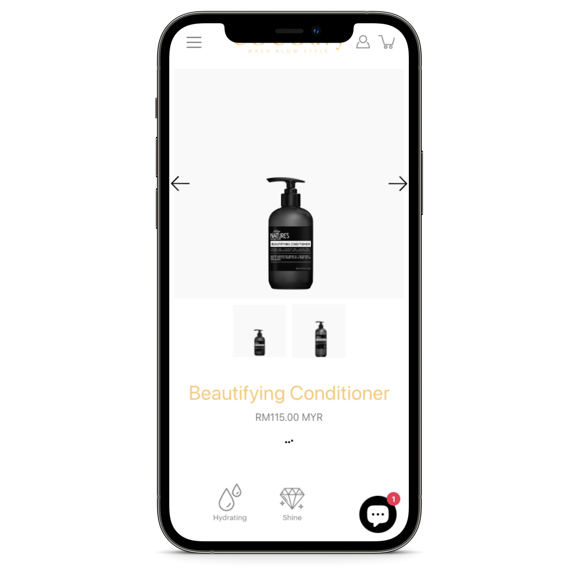 Shopify Store Design and Development