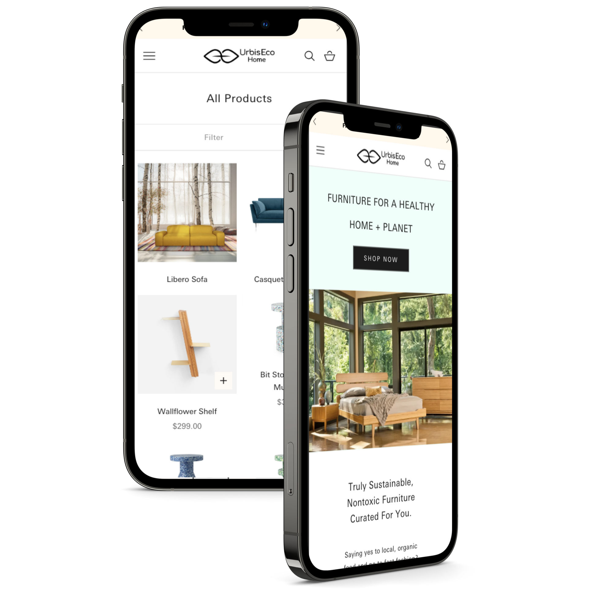 Shopify Speed Optimization 2