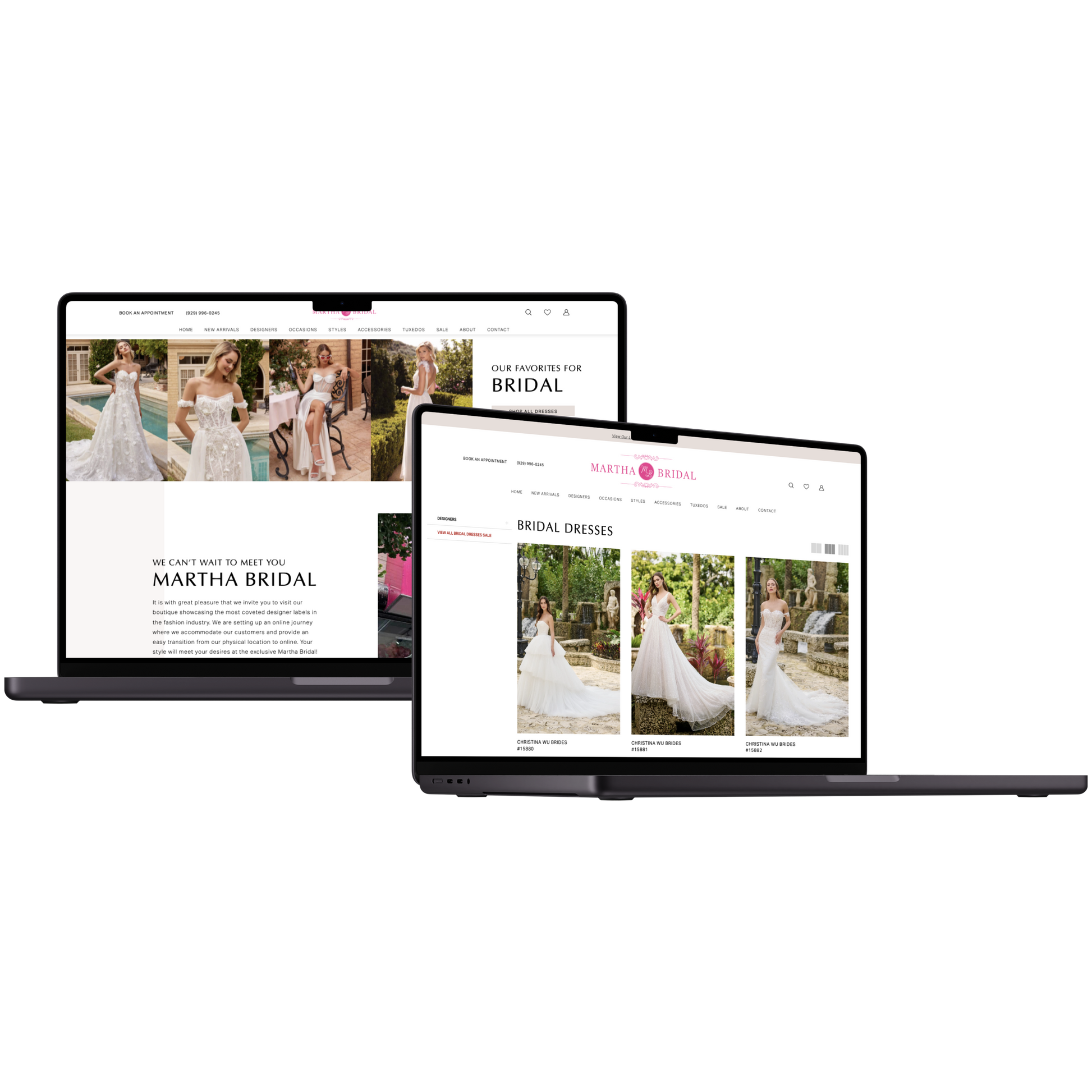 Shopify Store Design and Development 2