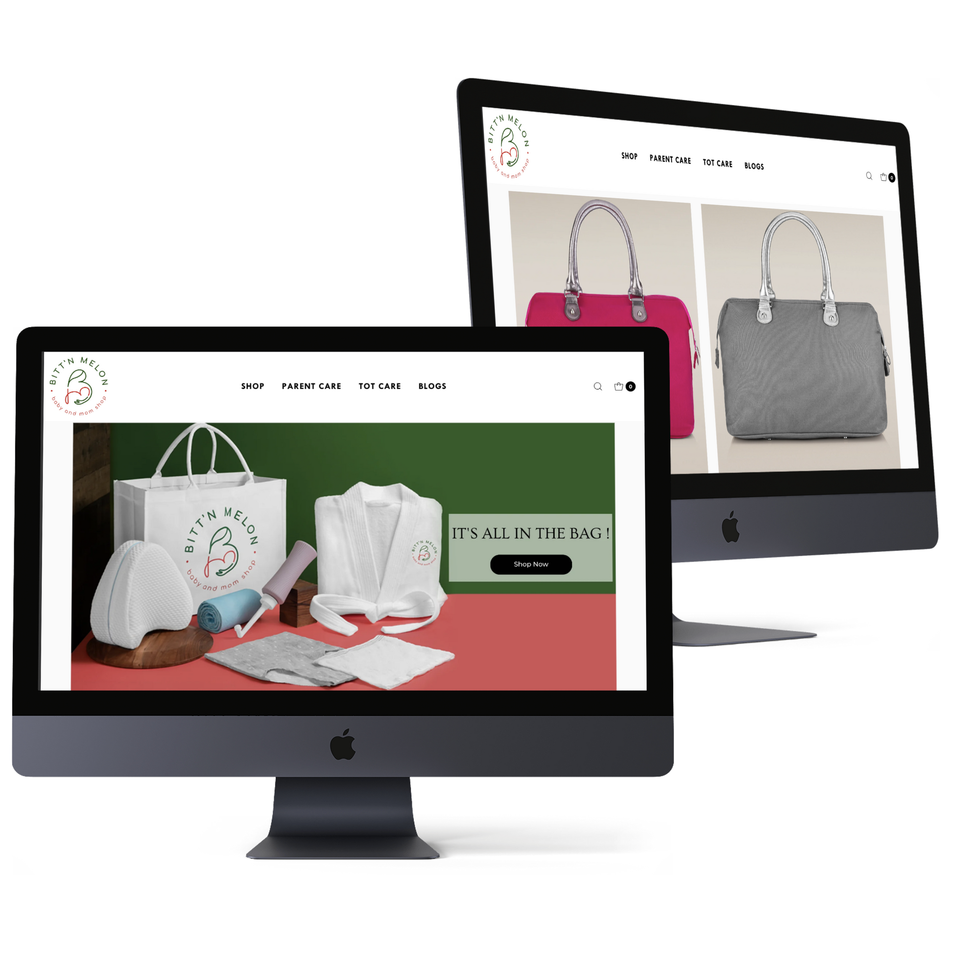 Shopify Store Design and Development 1