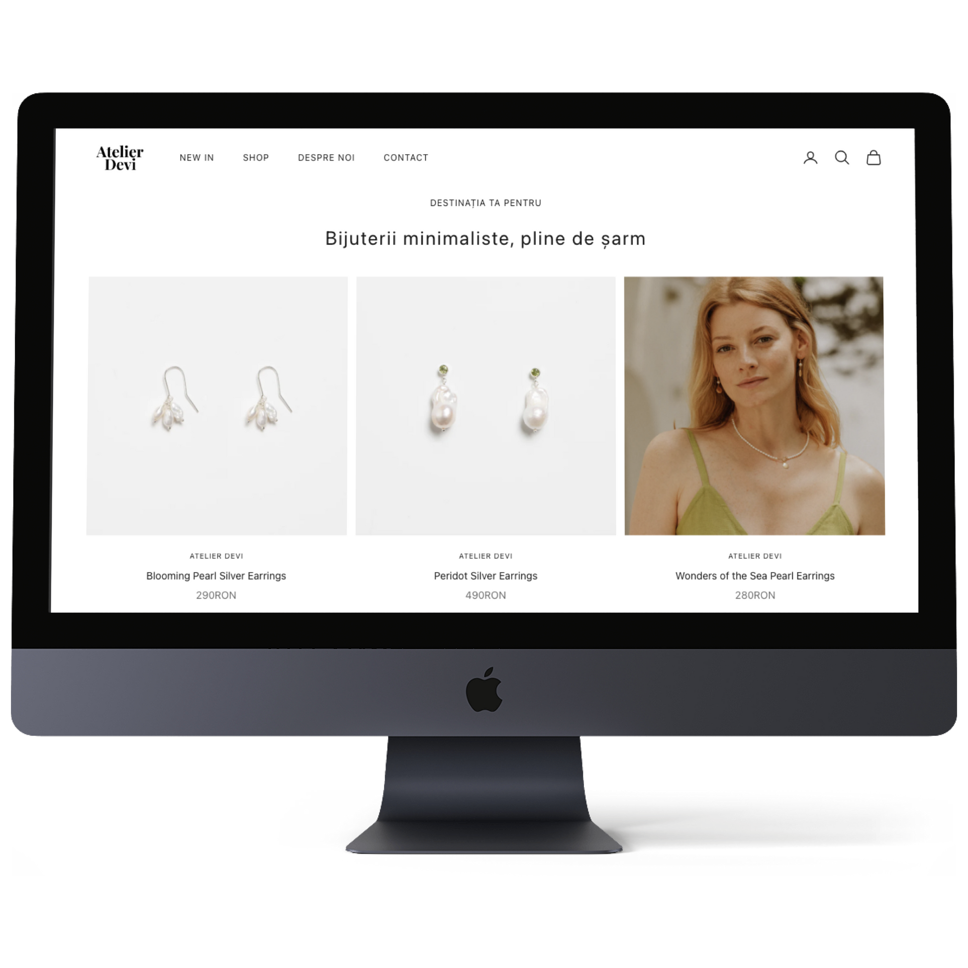 Shopify Store Design and Development 1